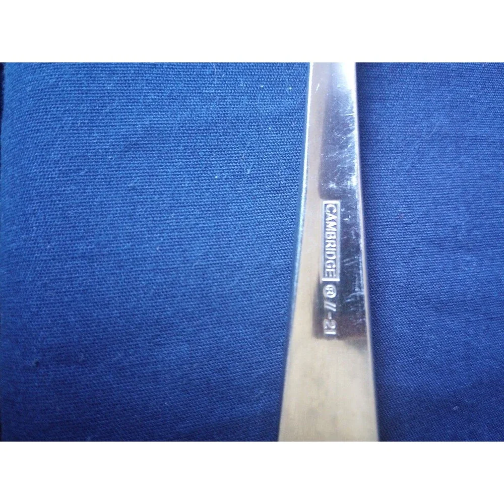 Cambridge Stainless Steel Solid Handle Medium Serving Fork- Gratitude